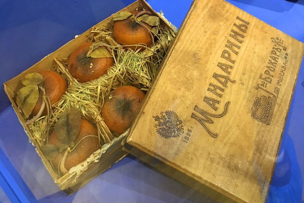 Как подключиться к даркнету