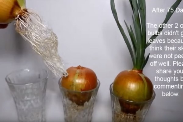 Кракен настоящее зеркало