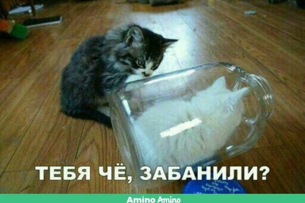 Kraken смылка