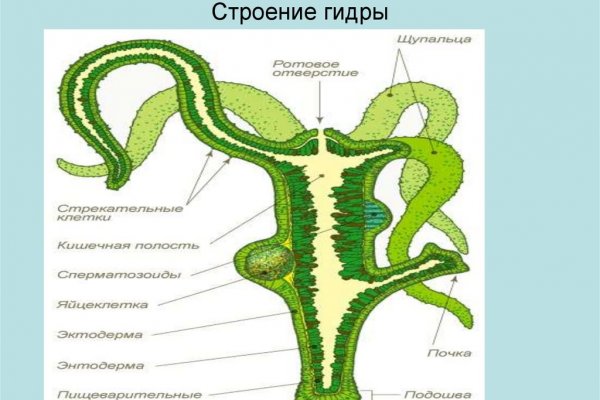 Только через тор кракен