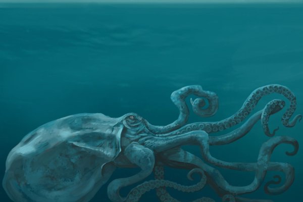 Kraken актуальное