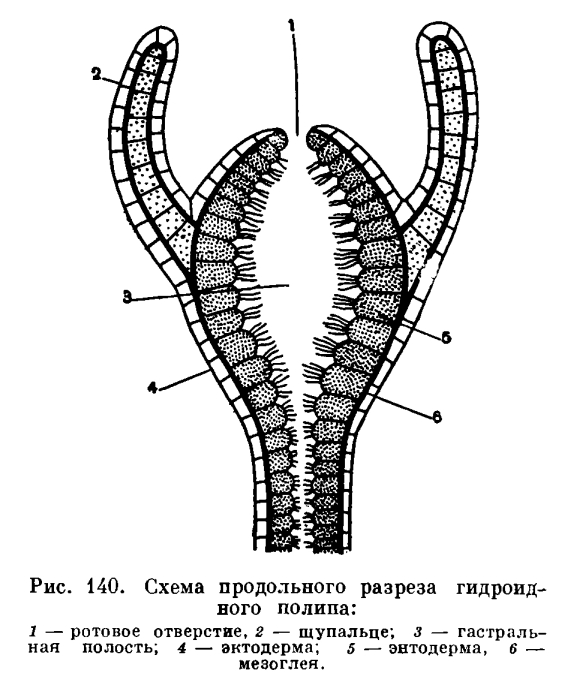 Кракен обход
