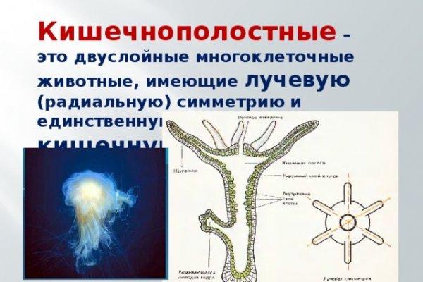 Kraken торговая площадка ссылка