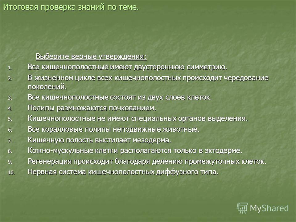 Кракен сайт вход официальный зеркало